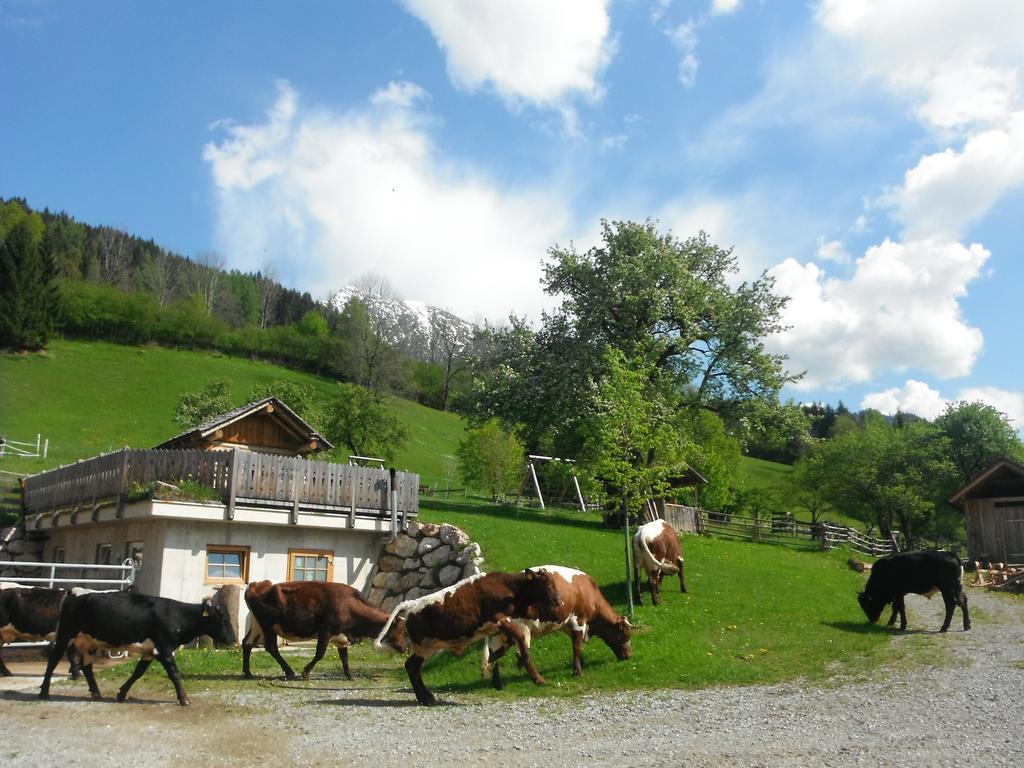 Berghof Thurnergut شبيتال أم بيرن المظهر الخارجي الصورة
