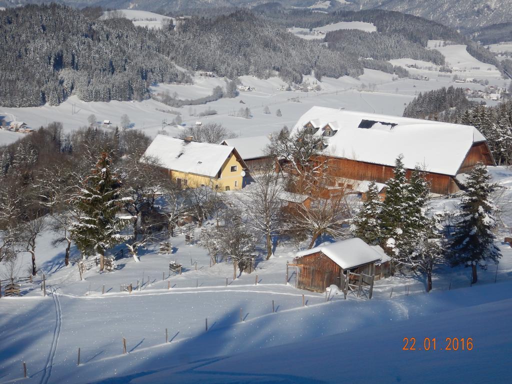 Berghof Thurnergut شبيتال أم بيرن المظهر الخارجي الصورة